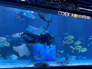 COEX Aquarium