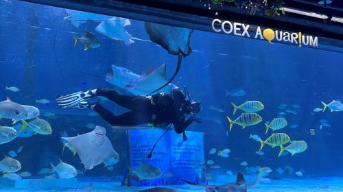 COEX水族館