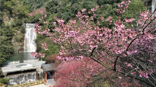 Wangxianling Scenic Tourist Area