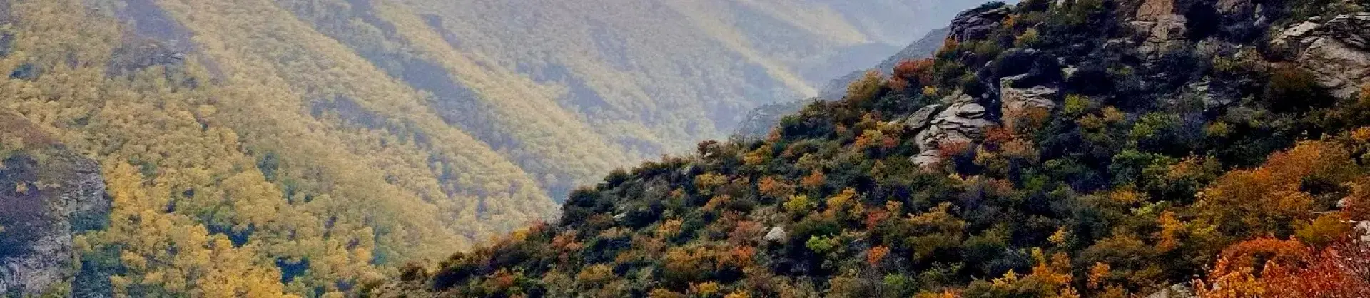 Fall Viewing Attractions