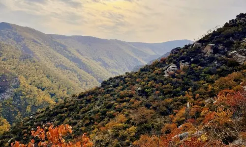 Hadamen National Forest Park