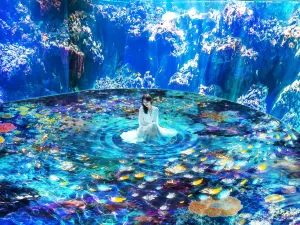 Xpark Aquarium