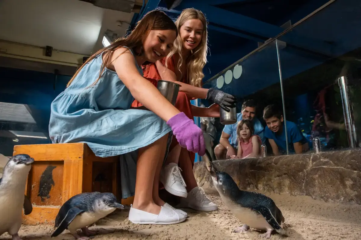 SEA LIFE Sunshine Coast Aquarium