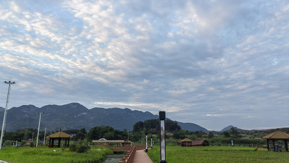 Huangmei Camphor Garden Tourist Area