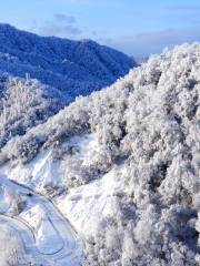 米倉山國家森林公園