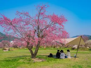 上饒鉛山葛仙山風景区