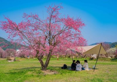 上饒鉛山葛仙山風景区