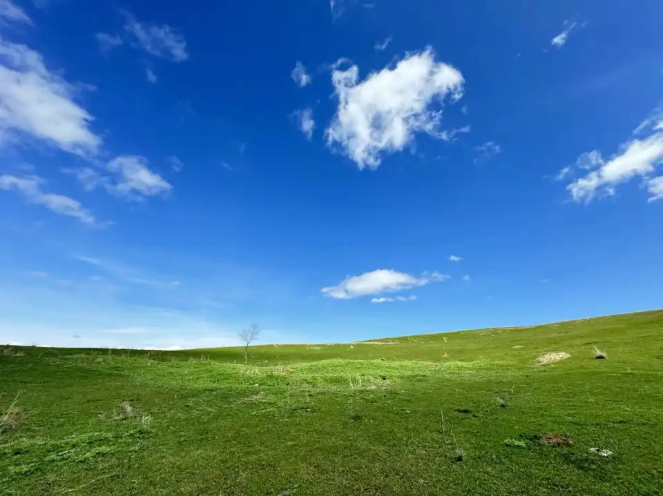 3_Wild Walnut Valley Scenic Area