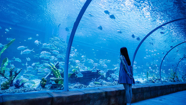 Nanhai Ocean Family Park