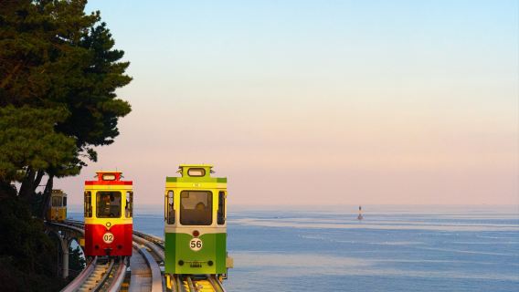 Haeundae Blue Line Park + Gamcheon Culture Village + Busan Cheongsapo + The Bay101 Yacht Club + Haedong Yonggungsa Temple one-day tour