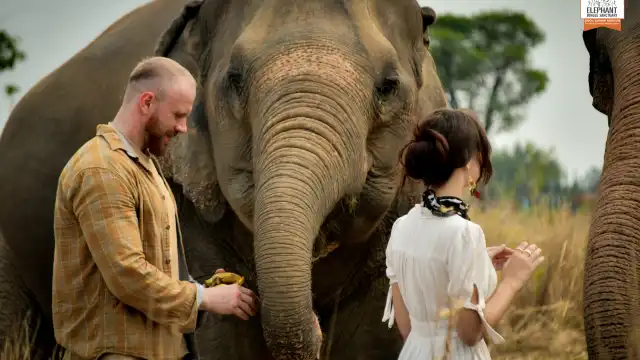 Elephant Jungle Sanctuary Phuket