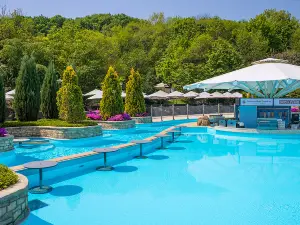 Popular Hot Springs Attractions in Gyeonggi-do