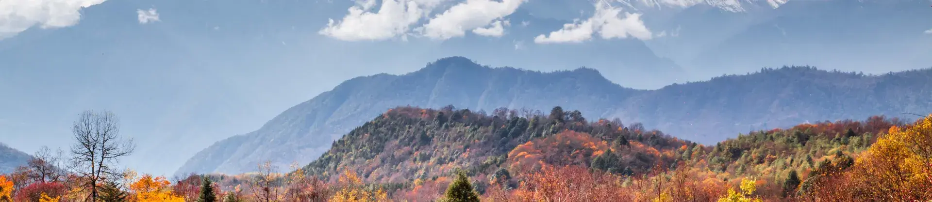 Fall Viewing Attractions