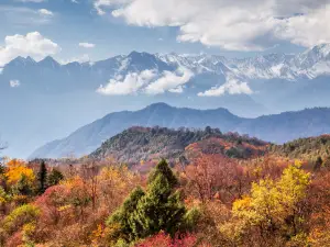 Popular Fall Viewing Attractions in Shimian
