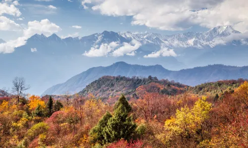Wanggangping Scenic Area