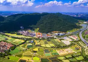 Xiqiao Mountain Scenic Area