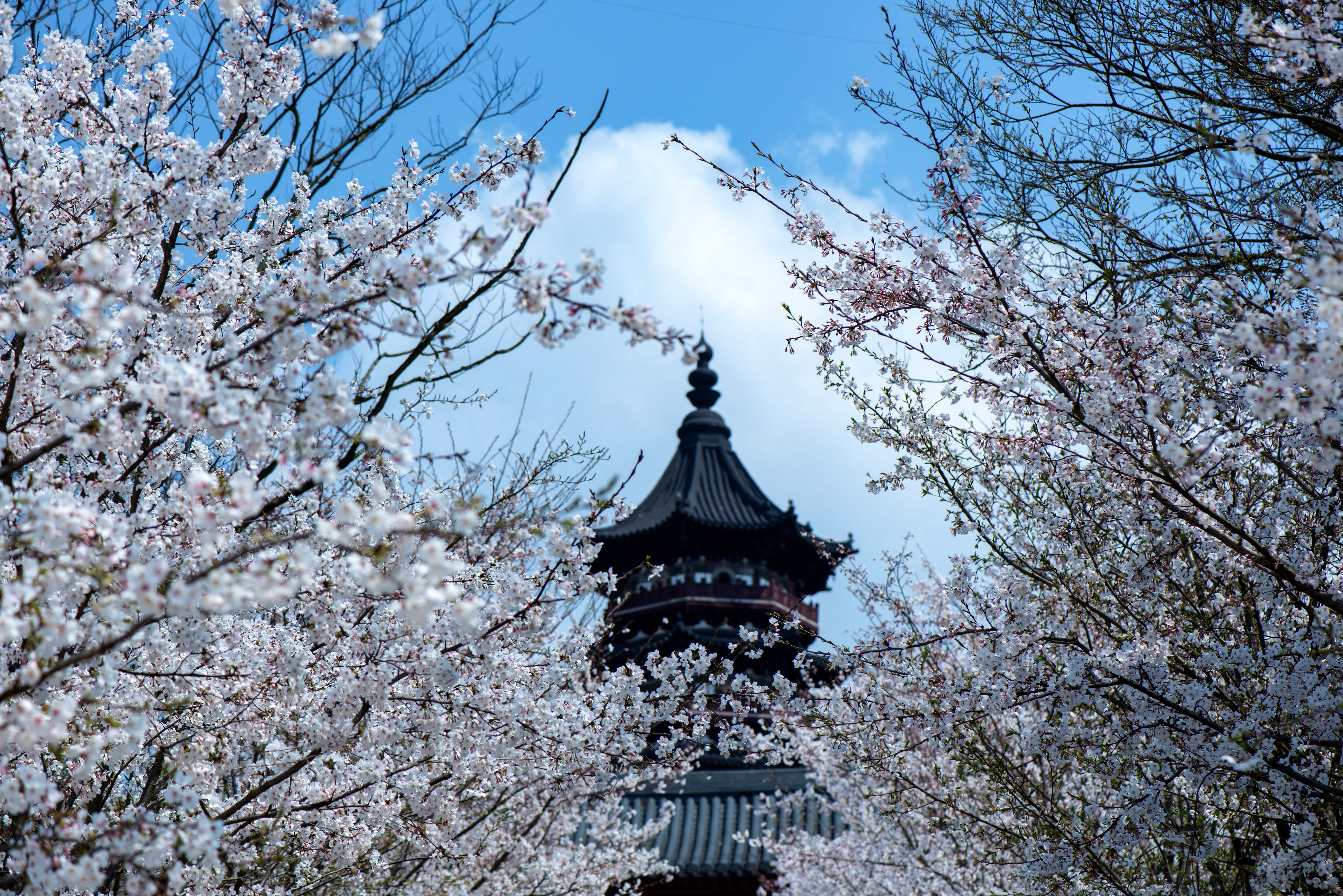 Must-see Attractions