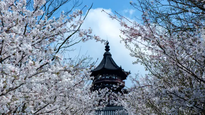 4_牛首山文化旅遊區
