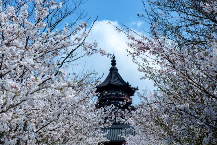 牛首山文化旅遊區