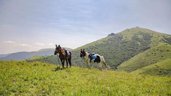 Horse Riding in Zhangjiakou