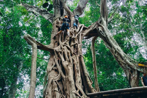 Jino Mountain Baduo Valley Rainforest Hiking