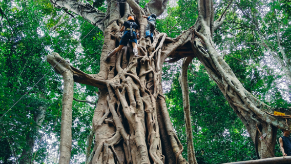 Jino Mountain Baduo Valley Rainforest Hiking