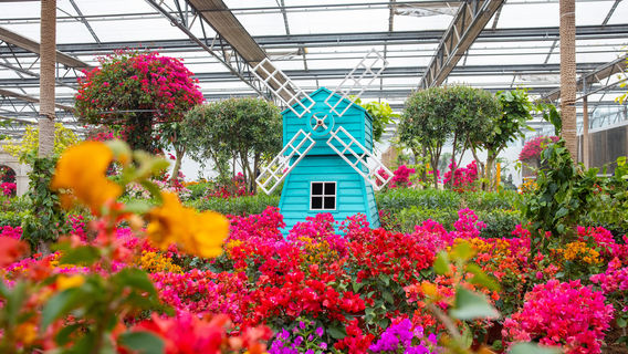 World Botanical Amusement Park