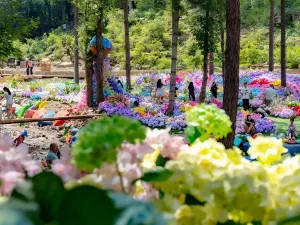 Bai Yun Mountain