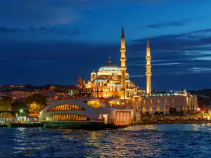 Cruise Experience in Bosphorus