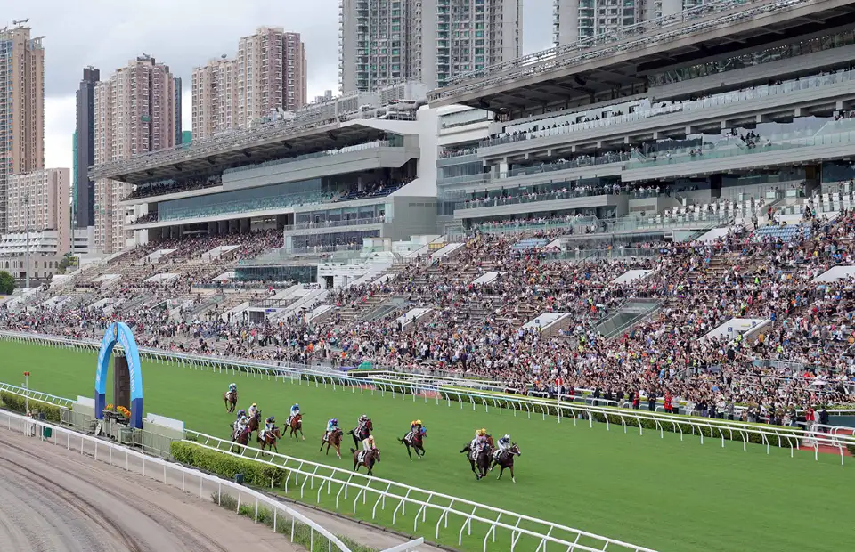 3_沙田馬場