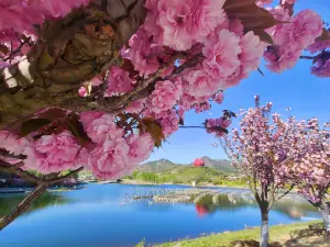 Qingdao World Horticulture Expo Park