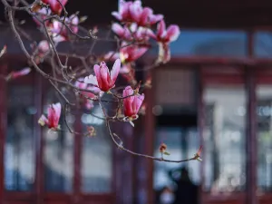 Master-of-Nets Garden(Wangshi Garden)