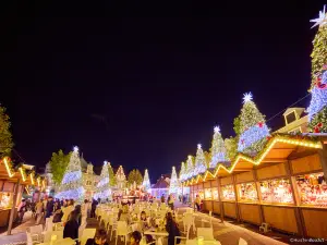 Huis Ten Bosch