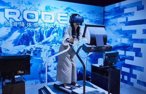 VS PARK LaLaport EXPOCITY店30分利用券大小同價