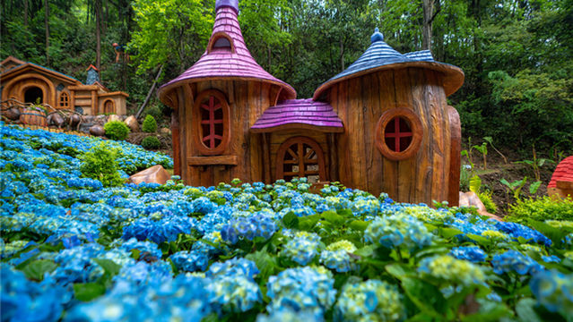 huang long xia sheng tai lv you qu