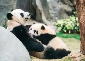Ocean Park Hong Kong