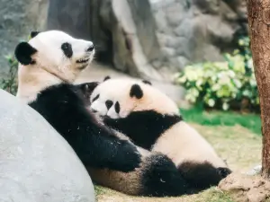 香港海洋公園