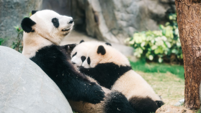 香港海洋公園
