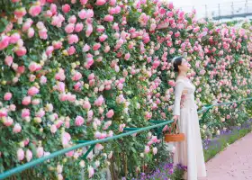 Manhua Sea of Flowers