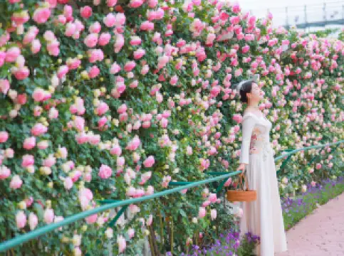 Manhua Sea of Flowers