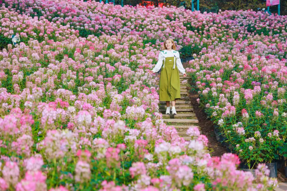 4_Manhua Sea of Flowers