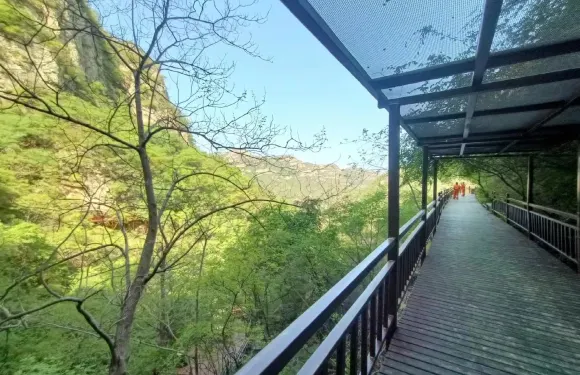 璧山景區門票大小同價