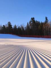 長白山紅松王雪場