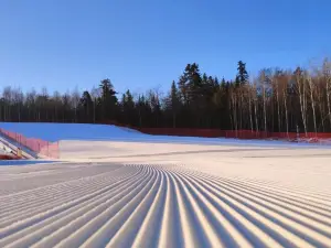 長白山紅松王雪場