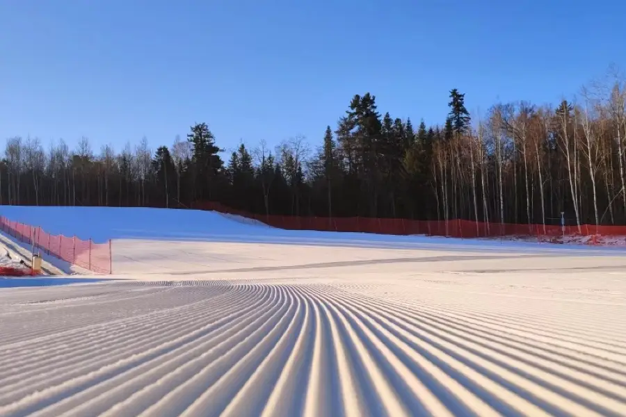 長白山紅松王雪場