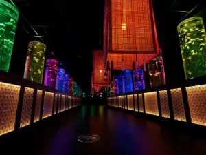 ART AQUARIUM MUSEUM