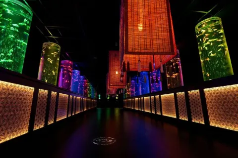 ART AQUARIUM MUSEUM