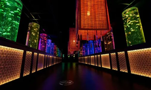 ART AQUARIUM MUSEUM