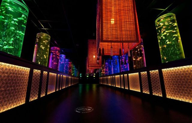 ART AQUARIUM MUSEUM | Ginza