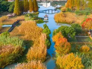 Shajiabang Reed Wetland